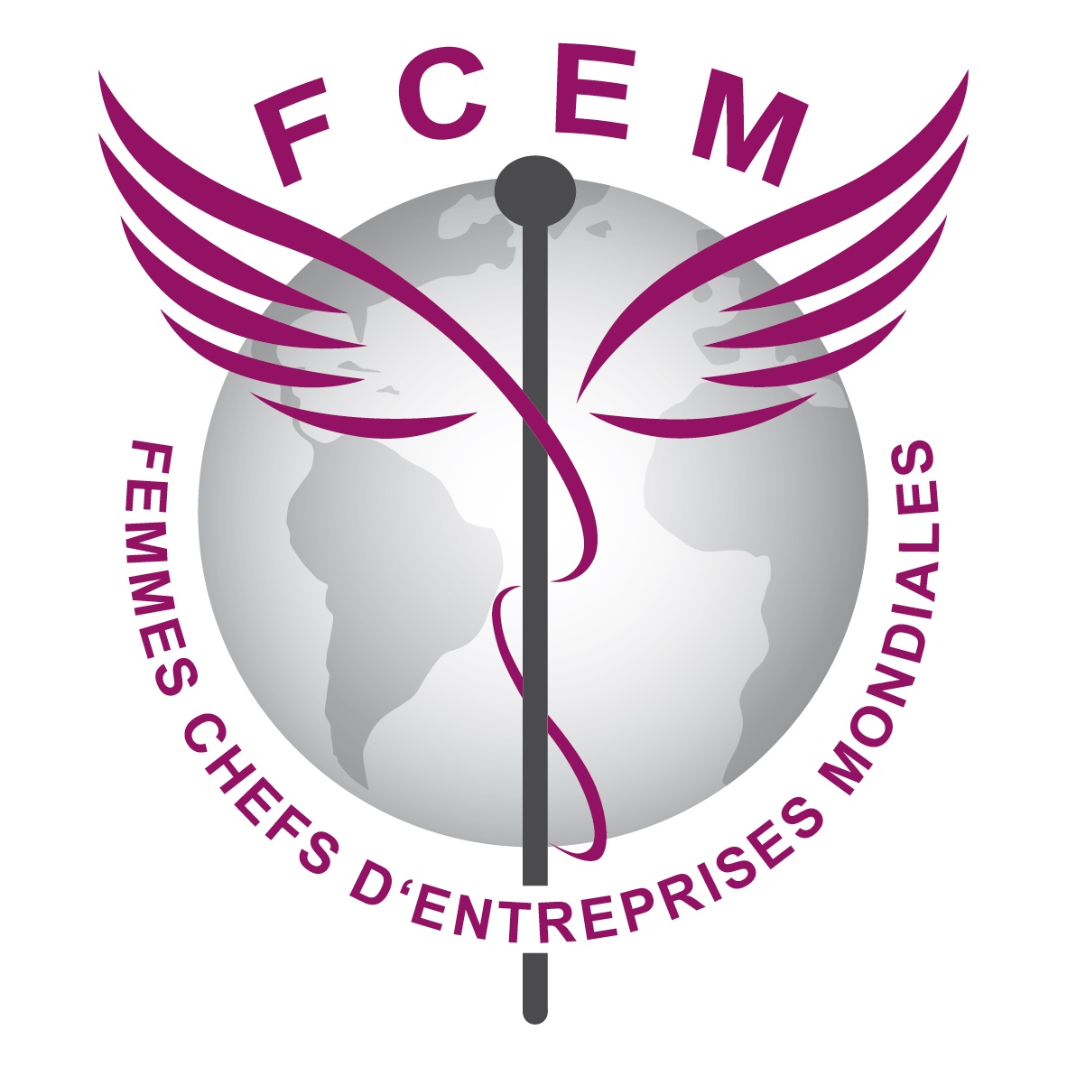 FCEM Steering Committee